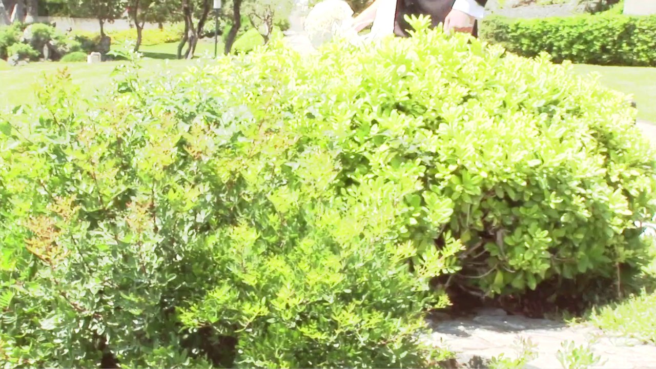 Dario e Valeria mp4.mp4