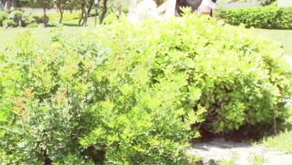 Dario e Valeria mp4.mp4