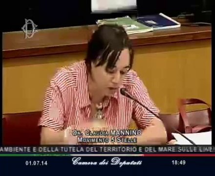 Roma - Seguito dell'audizione del Ministro Gianluca Galletti (01.07.14)