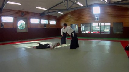 ji waza 3 aikido Aytré