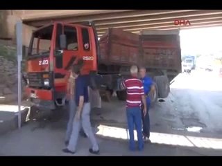 DALGIN ŞOFÖR 'KAFAYI GÖZÜ' DAĞITTI