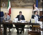Roma - Audizioni su riforma delle tasse automobilistiche - Assoliquidi Federchimica (01.07.14)