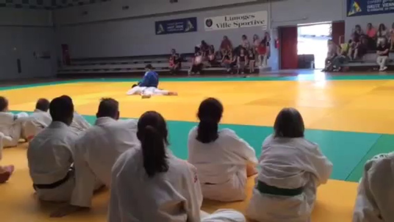 Démonstration de jujitsu. Asptt Limoges 20_06_2014 par Teddy Bonnet et Axel Fournier