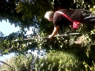 SARMAŞIK YAPRAĞI IHLAMUR ÇİÇEĞİ TOPLAMA MAKİNASI