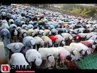 videoplayback_2