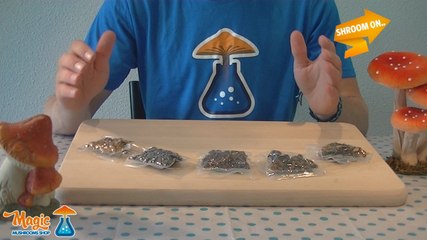 Magic Truffles: Consumption, Effects, Dosage, Experiences & Buy
