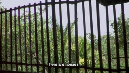 A Letter to Uncle Boonmee