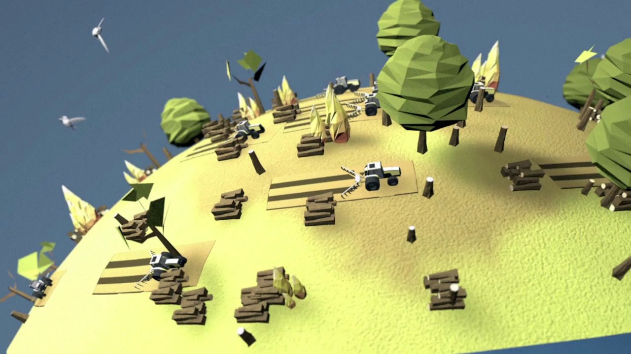 Deforestation
