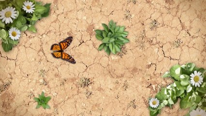 Blue Springs Mortgage Lenders