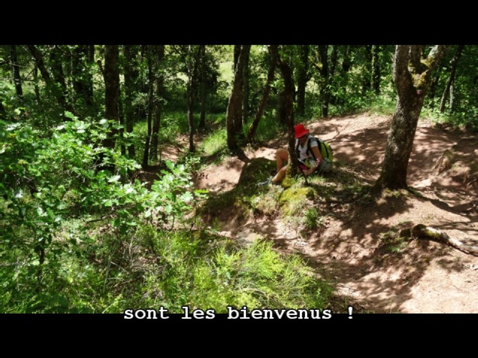 Le Puy - Conques – Figeac, 2/3, sur les chemins vers Compostelle...