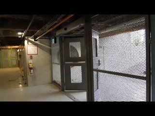 Smart Birds Open Doors