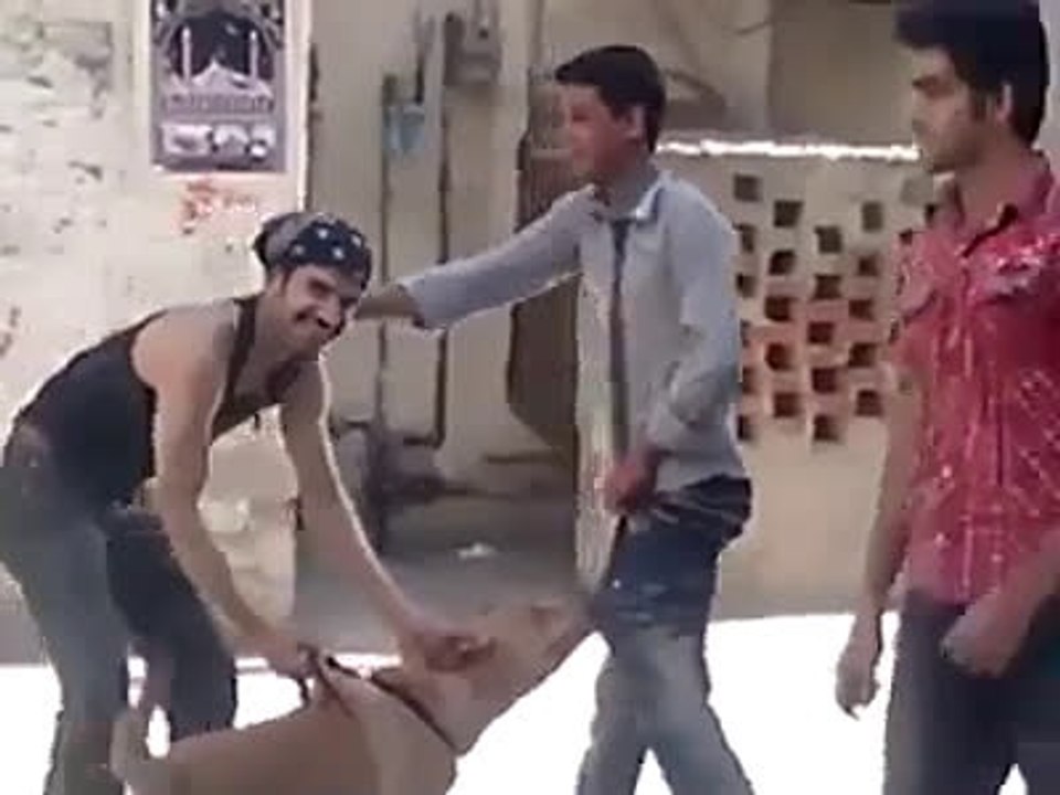 Mad Dog grab a boy's pent...lolx
