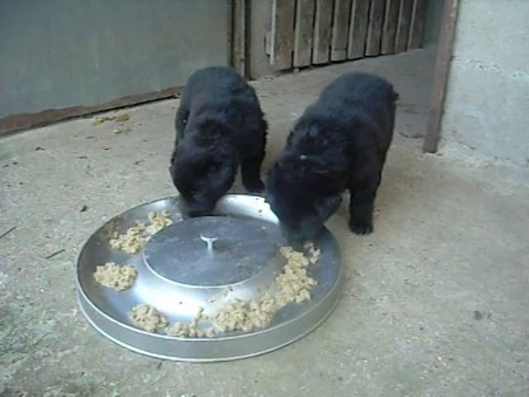 2 juillet 2014 (1) : tous premiers pas dehors