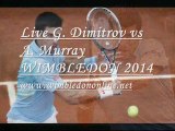 Murray vs Dimitrov Quarterfinal Match Live