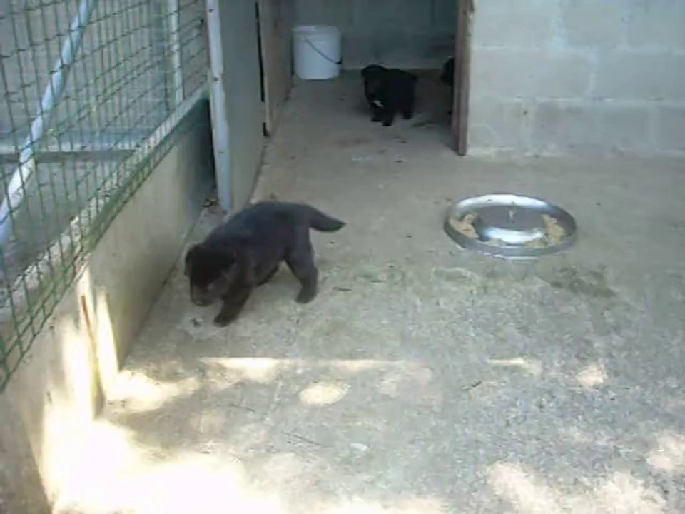 2 juillet 2014 (2) : 1er pas dehors (suite)