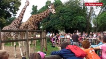 Zoo de La Bourbansais. Plus de 70.000 visiteurs attendus cet été