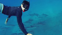 GoPro Swimming With Dolphins - Scuba Diving