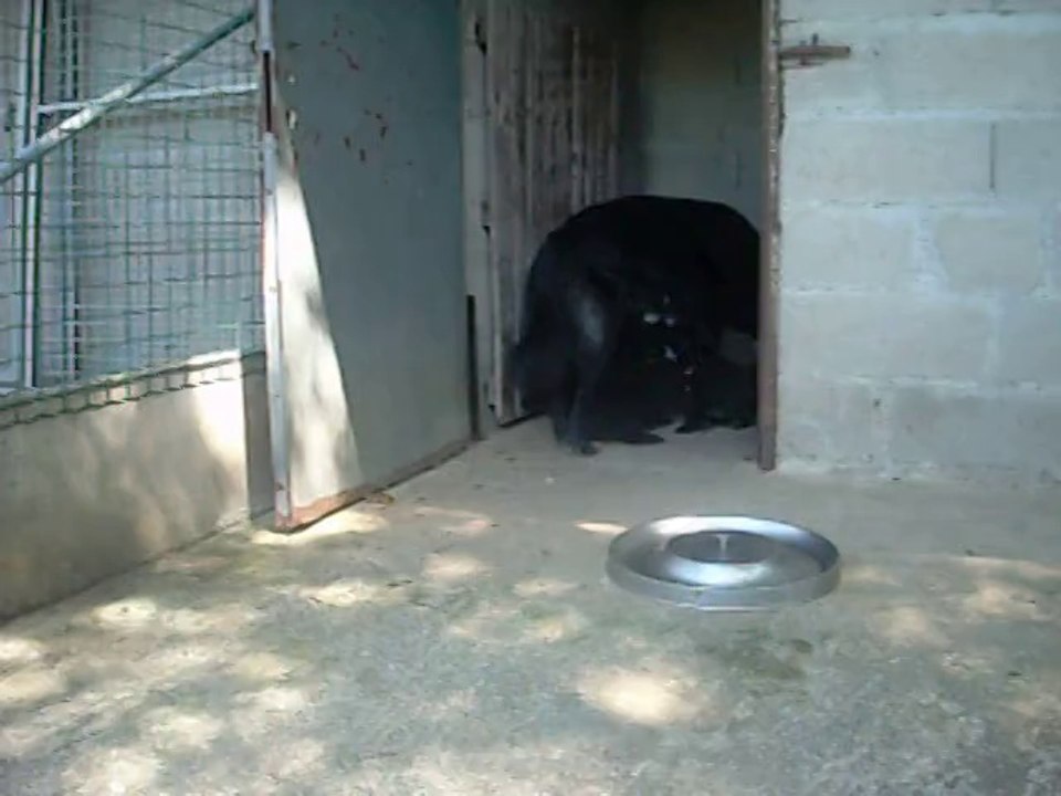 2 juillet 2014 (3) : 1er pas dehors 3