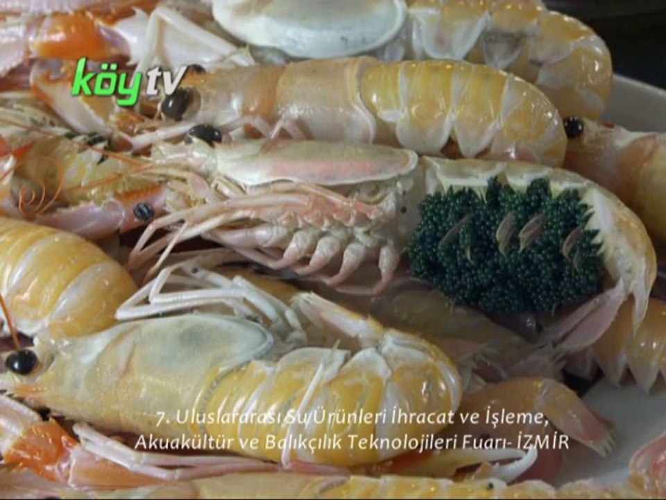 7. Uluslararası Su Ürünleri İhracat ve İşleme, Akuakültür ve Balıkçılık Teknolojileri Fuar