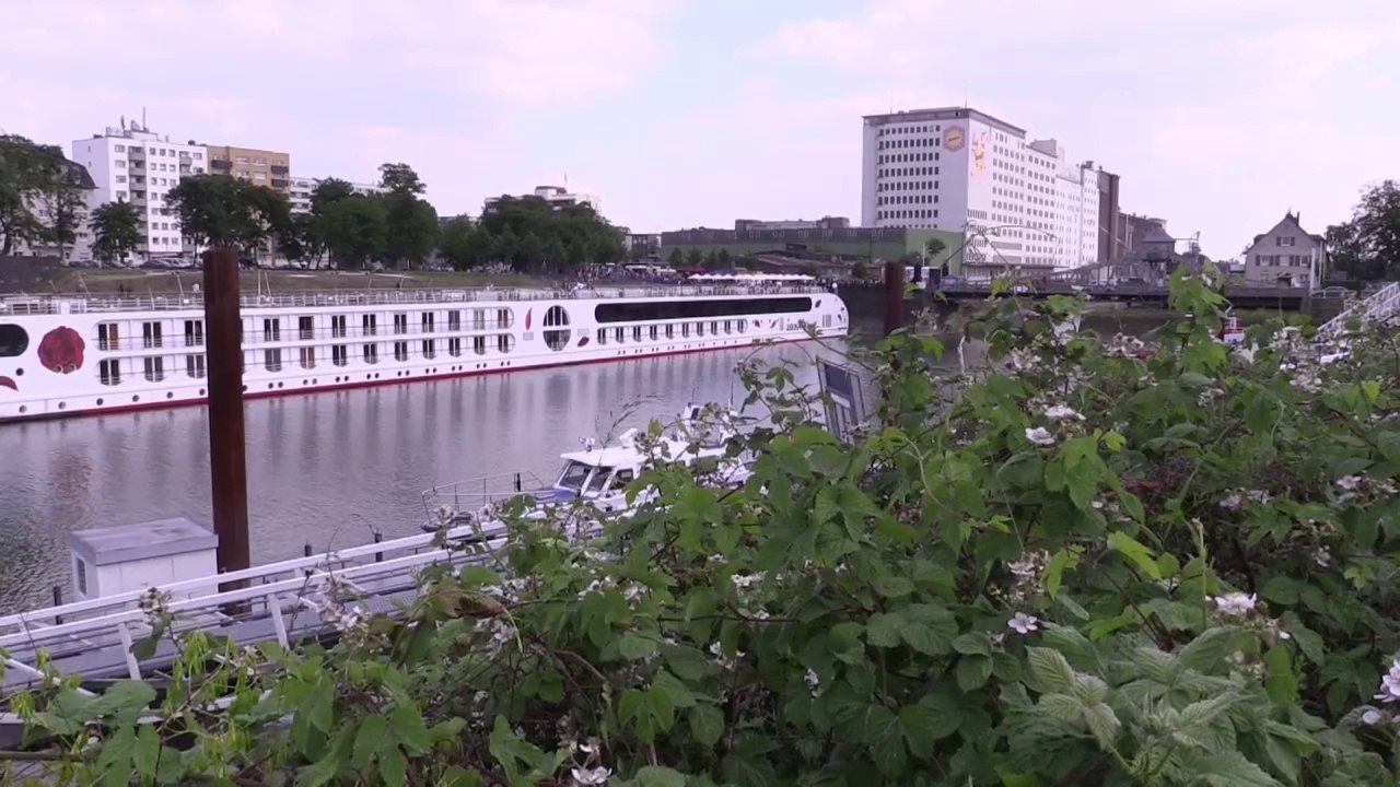 Altstadt-Rhein-2014-Renate Fuchs T3