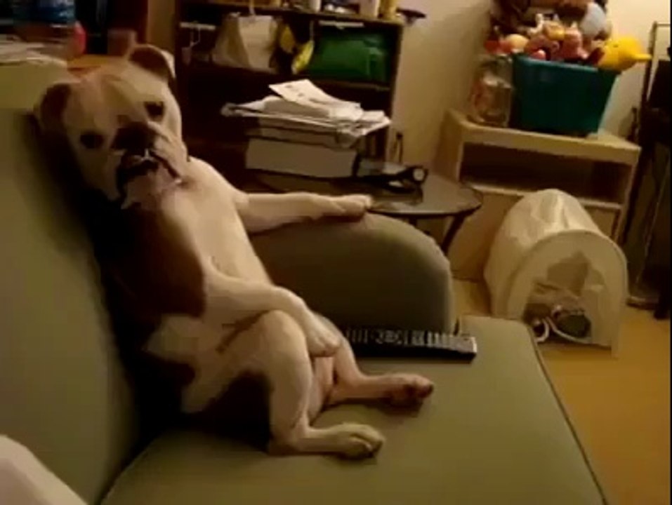 DogFather :)