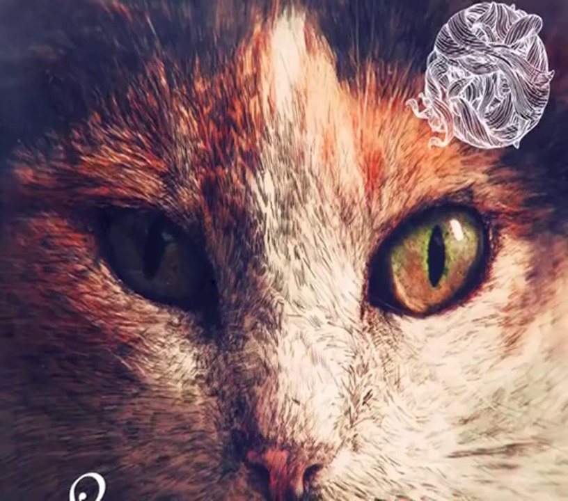 Hot Since 82 - Planes & Trains (Dosem Remix)