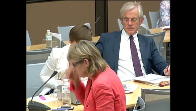 Ma question à Martin Bouygues en Commission Affaires économiques