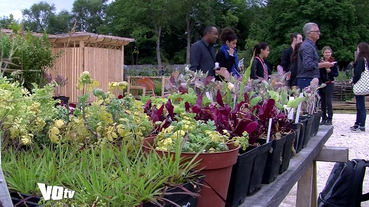 VOTV - Inauguration potager Royaumont