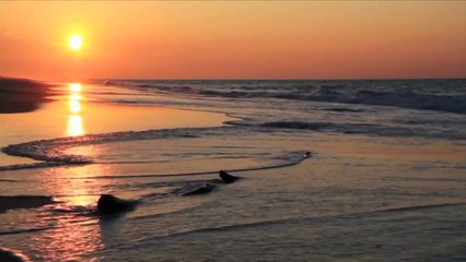 Sonny Fodera & Bontan - Reach Out (Original Mix)