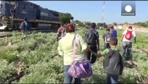 US immigration crisis as tens of thousands of children flee Central American violence without parents