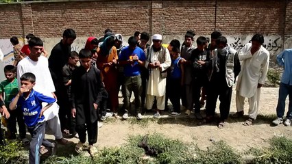 Taliban suicide attack on military bus kills at least eight