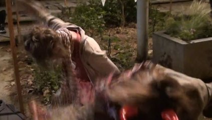 ambiance Talp après la victoire belge