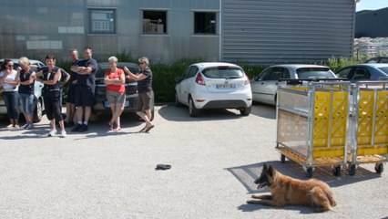 Les facteurs d'Epernay formation de prévention canine