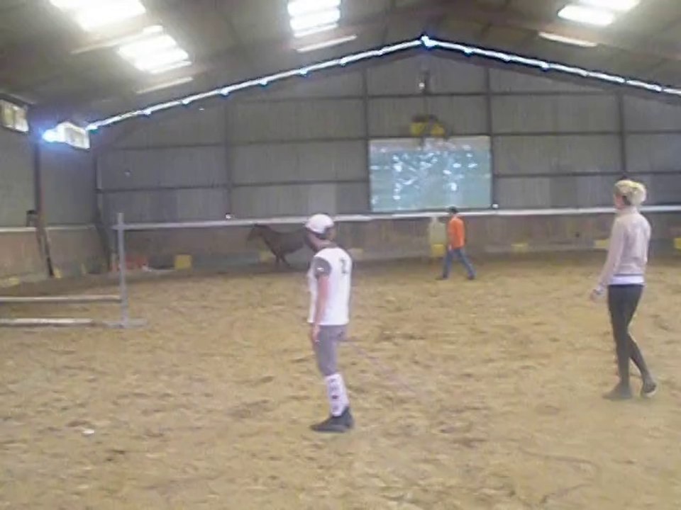 Apiroise Milin-Riant