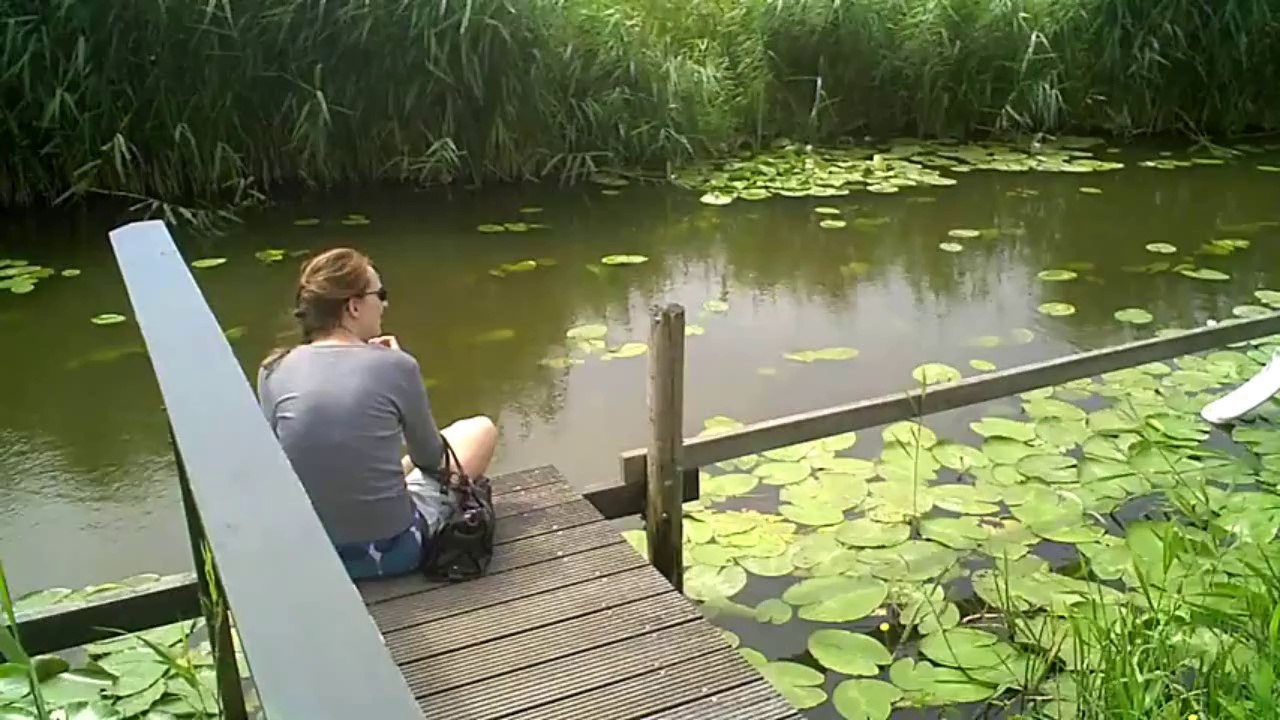 Afro Celt Sound System - Medieval Dream