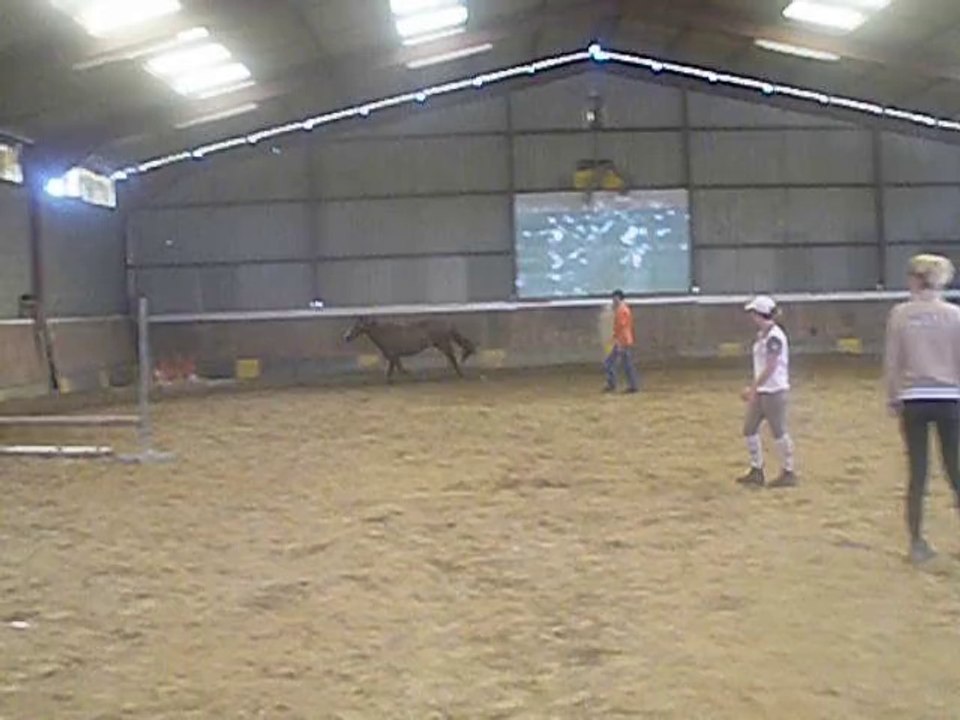 Apiroise Milin-Riant