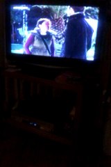 τα μυστικα τησ εδεμ