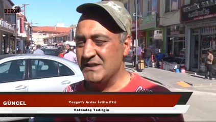 YOZGAT'TA ARI İSTİLASI