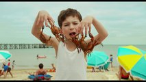 Bande-annonce : Les Vacances du Petit Nicolas - (3) VF