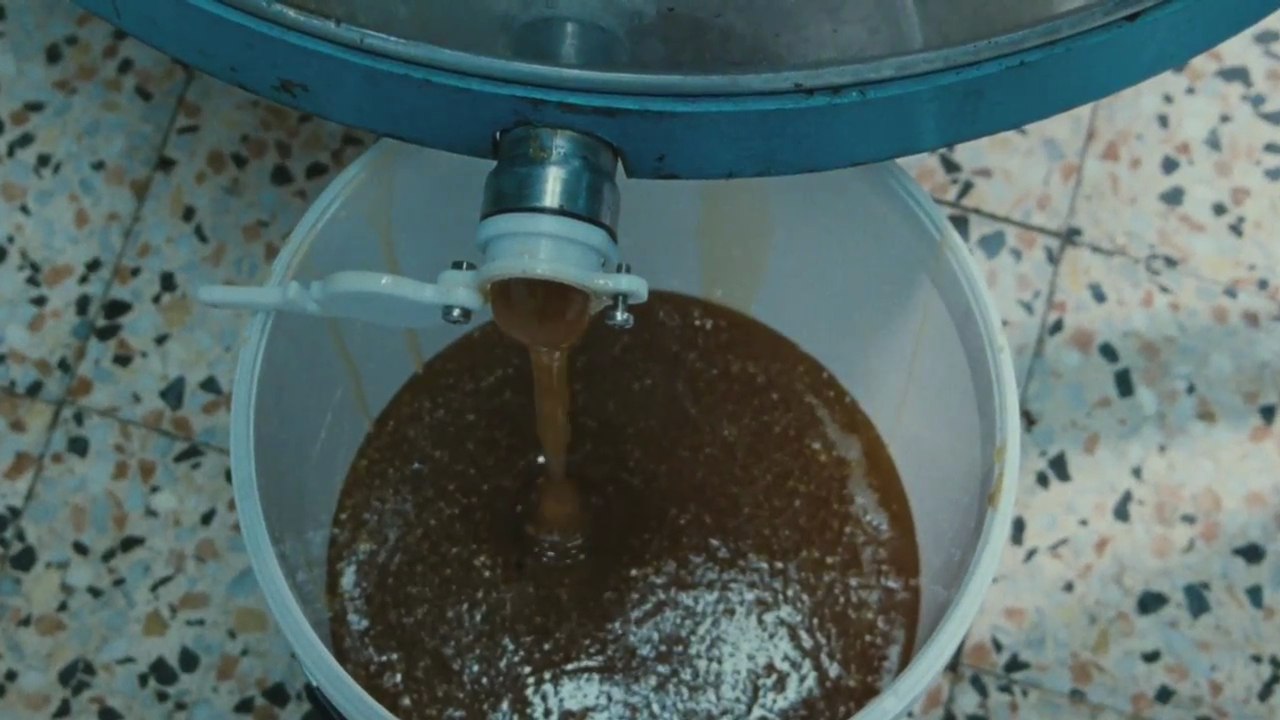 Bande-annonce : Les Merveilles - VO