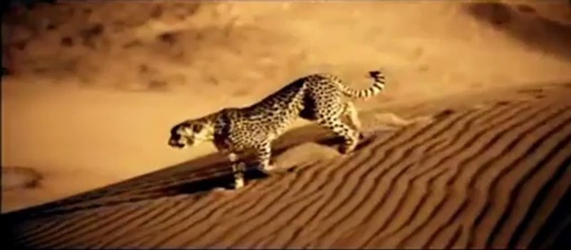 Masar - Le Trio Joubran