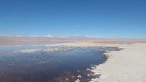 Paysage 12 - San Pedro de Atacama Laguna Tebinquiche