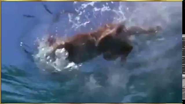 Being a Human we ignore Humanity but see this Example ..