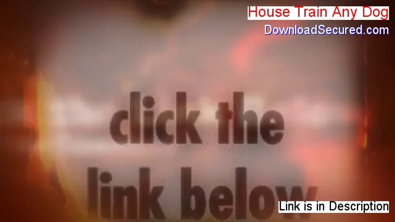 House Train Any Dog Free Review (house train any dog book free download 2014)