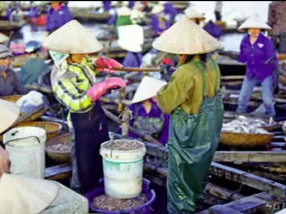 P7_THAP DIEN DIEM VUONG (TANG THU BAY)