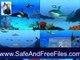 Download Crawler 3D Tropical Aquarium Screensaver 4.2.5.63 Serial Key Generator Free