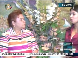 Incorporarán nuevas unidades de transporte ante fallas en distribución de gas en Táchira