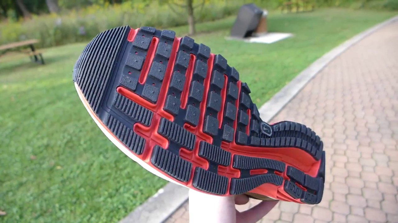 Nike Pegasus 30 - California Special Edition (Roadrunner Sports) review!