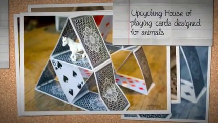 A Fun Display Of Playing Cards From Ludocards