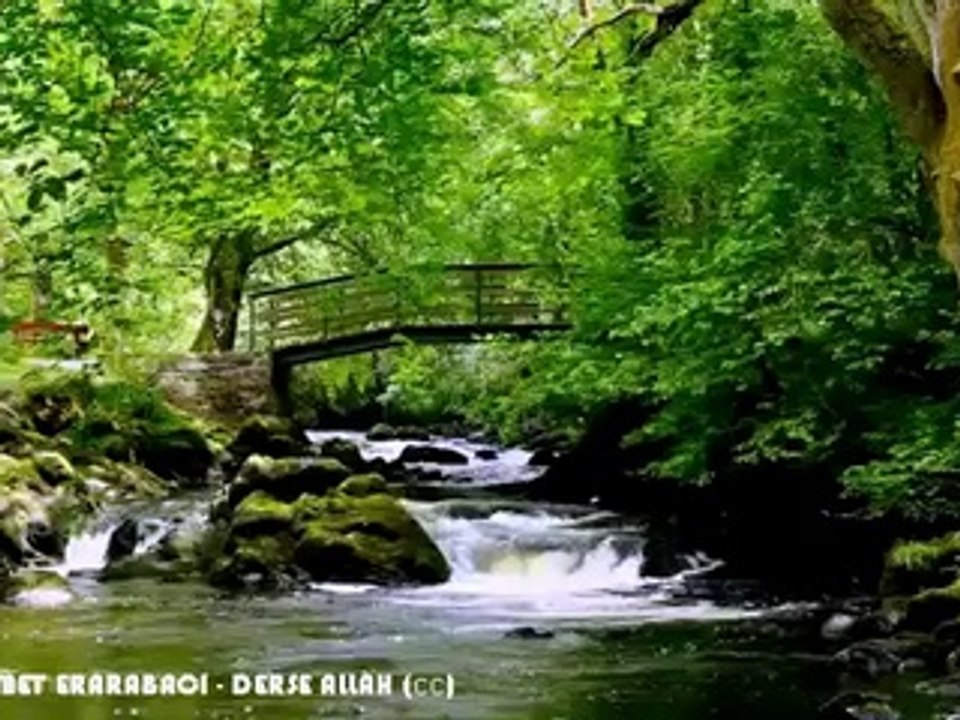 Derse Allah - (solo ilahi) - Mehmet ERARABACI